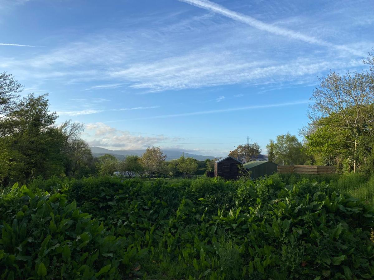 Cosy Double Shepherds Hut In Beautiful Wicklow With Underfloor Heating Throughout Rathnew المظهر الخارجي الصورة